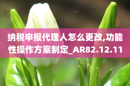 纳税申报代理人怎么更改,功能性操作方案制定_AR82.12.11