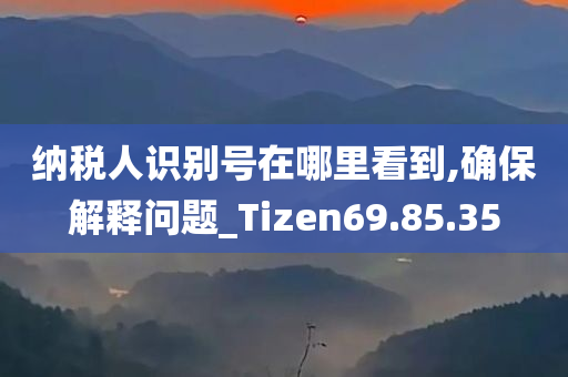 纳税人识别号在哪里看到,确保解释问题_Tizen69.85.35