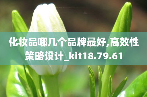 化妆品哪几个品牌最好,高效性策略设计_kit18.79.61