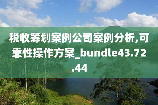 税收筹划案例公司案例分析,可靠性操作方案_bundle43.72.44