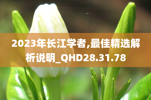 2023年长江学者,最佳精选解析说明_QHD28.31.78