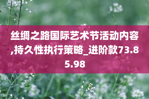 丝绸之路国际艺术节活动内容,持久性执行策略_进阶款73.85.98