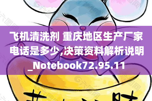 飞机清洗剂 重庆地区生产厂家电话是多少,决策资料解析说明_Notebook72.95.11