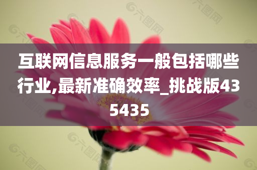 互联网信息服务一般包括哪些行业,最新准确效率_挑战版435435