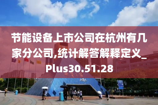 节能设备上市公司在杭州有几家分公司,统计解答解释定义_Plus30.51.28