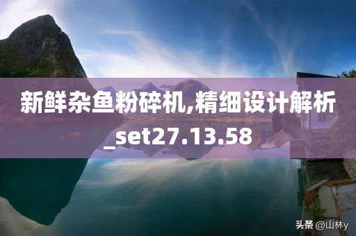 新鲜杂鱼粉碎机,精细设计解析_set27.13.58