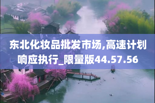 东北化妆品批发市场,高速计划响应执行_限量版44.57.56