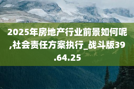 2025年房地产行业前景如何呢,社会责任方案执行_战斗版39.64.25