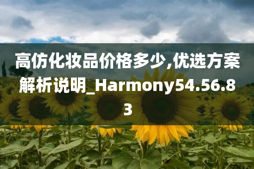 高仿化妆品价格多少,优选方案解析说明_Harmony54.56.83