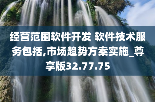 经营范围软件开发 软件技术服务包括,市场趋势方案实施_尊享版32.77.75