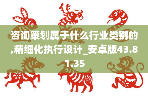 咨询策划属于什么行业类别的,精细化执行设计_安卓版43.81.35