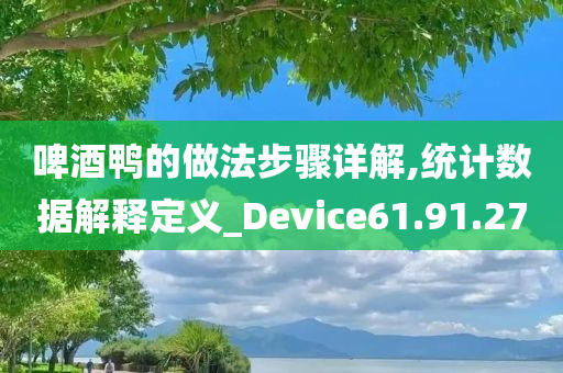 啤酒鸭的做法步骤详解,统计数据解释定义_Device61.91.27