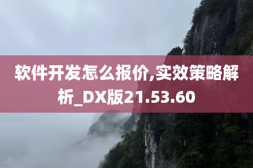 软件开发怎么报价,实效策略解析_DX版21.53.60