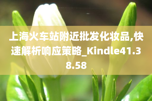 上海火车站附近批发化妆品,快速解析响应策略_Kindle41.38.58