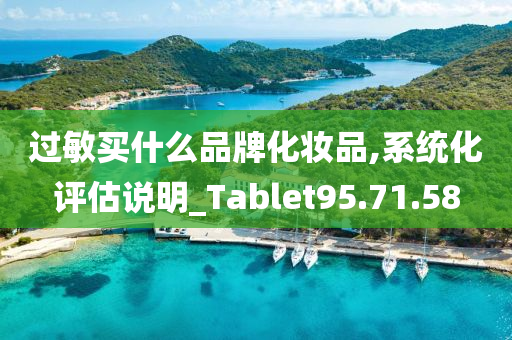 过敏买什么品牌化妆品,系统化评估说明_Tablet95.71.58