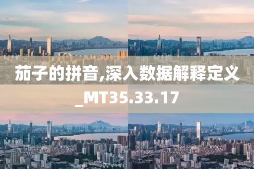 茄子的拼音,深入数据解释定义_MT35.33.17