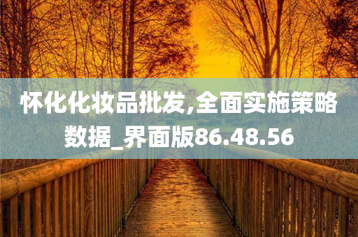 怀化化妆品批发,全面实施策略数据_界面版86.48.56