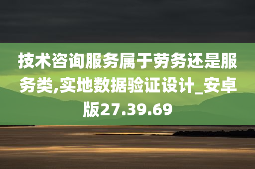 技术咨询服务属于劳务还是服务类,实地数据验证设计_安卓版27.39.69