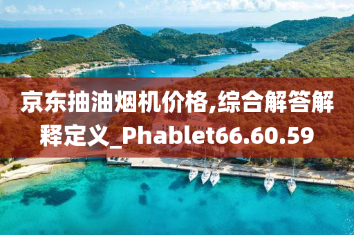 京东抽油烟机价格,综合解答解释定义_Phablet66.60.59