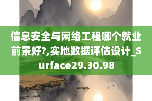 信息安全与网络工程哪个就业前景好?,实地数据评估设计_Surface29.30.98