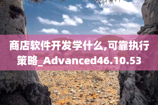 商店软件开发学什么,可靠执行策略_Advanced46.10.53