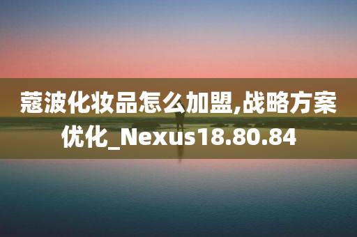 蔻波化妆品怎么加盟,战略方案优化_Nexus18.80.84