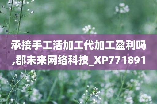 承接手工活加工代加工盈利吗,郡未来网络科技_XP771891