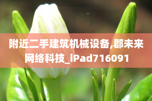 附近二手建筑机械设备,郡未来网络科技_iPad716091