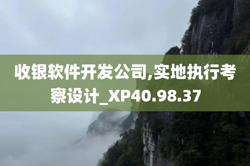 收银软件开发公司,实地执行考察设计_XP40.98.37