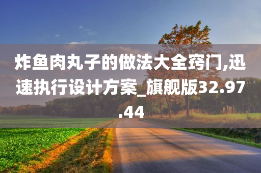 炸鱼肉丸子的做法大全窍门,迅速执行设计方案_旗舰版32.97.44