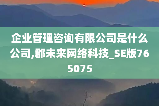 企业管理咨询有限公司是什么公司,郡未来网络科技_SE版765075