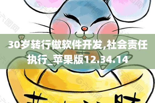 30岁转行做软件开发,社会责任执行_苹果版12.34.14