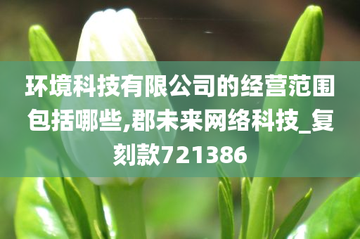 环境科技有限公司的经营范围包括哪些,郡未来网络科技_复刻款721386