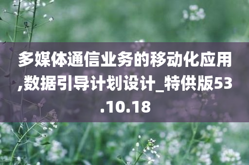 多媒体通信业务的移动化应用,数据引导计划设计_特供版53.10.18