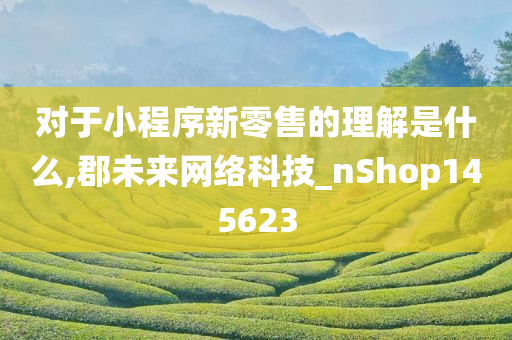 对于小程序新零售的理解是什么,郡未来网络科技_nShop145623