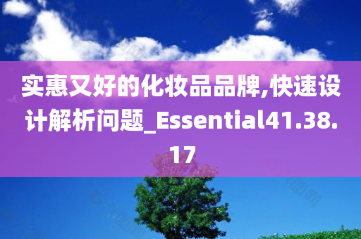 实惠又好的化妆品品牌,快速设计解析问题_Essential41.38.17