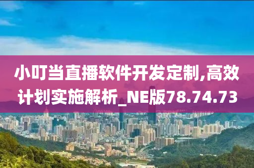 小叮当直播软件开发定制,高效计划实施解析_NE版78.74.73