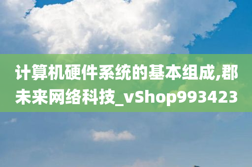 计算机硬件系统的基本组成,郡未来网络科技_vShop993423