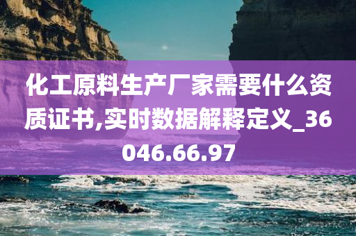 化工原料生产厂家需要什么资质证书,实时数据解释定义_36046.66.97