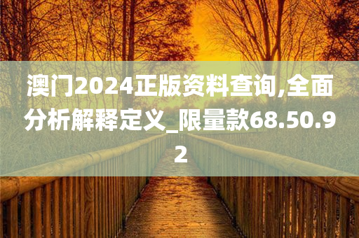 澳门2024正版资料查询,全面分析解释定义_限量款68.50.92