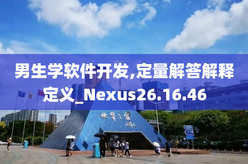 男生学软件开发,定量解答解释定义_Nexus26.16.46