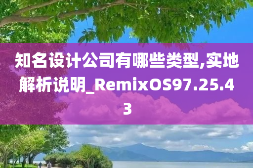 知名设计公司有哪些类型,实地解析说明_RemixOS97.25.43