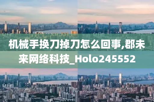 机械手换刀掉刀怎么回事,郡未来网络科技_Holo245552