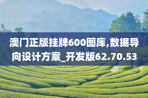 澳门正版挂牌600图库,数据导向设计方案_开发版62.70.53