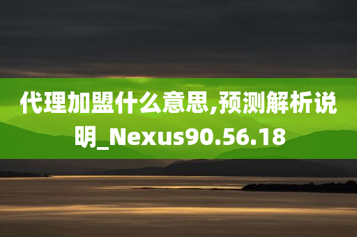 代理加盟什么意思,预测解析说明_Nexus90.56.18