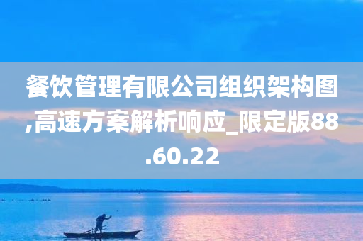 餐饮管理有限公司组织架构图,高速方案解析响应_限定版88.60.22