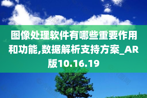 图像处理软件有哪些重要作用和功能,数据解析支持方案_AR版10.16.19