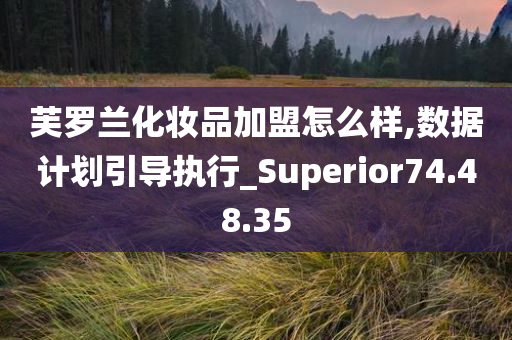 芙罗兰化妆品加盟怎么样,数据计划引导执行_Superior74.48.35