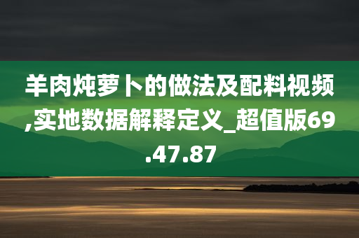 羊肉炖萝卜的做法及配料视频,实地数据解释定义_超值版69.47.87