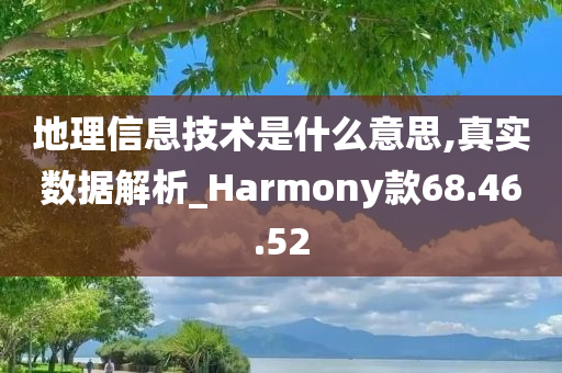 地理信息技术是什么意思,真实数据解析_Harmony款68.46.52